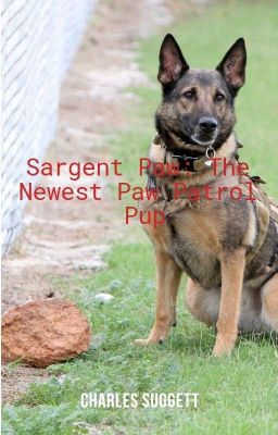 Sargent Paw: The Newest Paw Patrol Pup