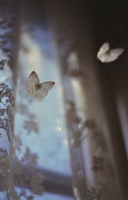 sau khi tôi bị mù, tất cả mọi người đều giả vờ là bạn trai tôi. 