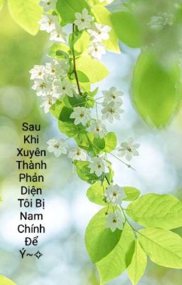 Sau khi xuyên thành phản diện tôi bị nam chính để ý