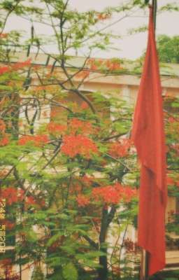 say đắm trong lần đầu [Hoàng x Khang]