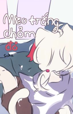 [Scarakazu] Mèo trắng chỏm đỏ