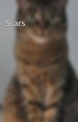 Scars