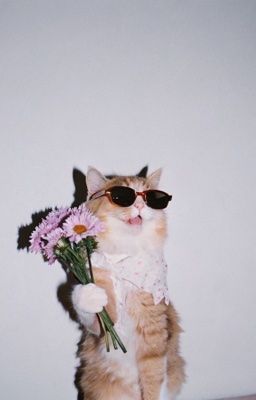 SeanKeon | Bất Ngờ? 