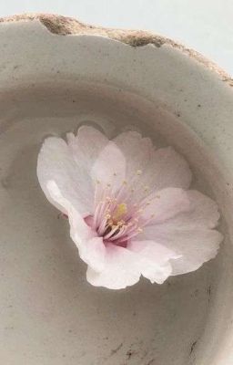 Seankeon | Đuôi cún