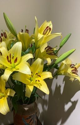 Seankeon| Nơi nhân gian xum vầy