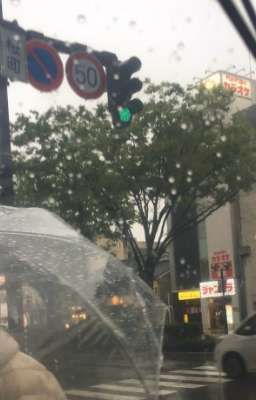 [ SeanKeon ] °Raindrops༎