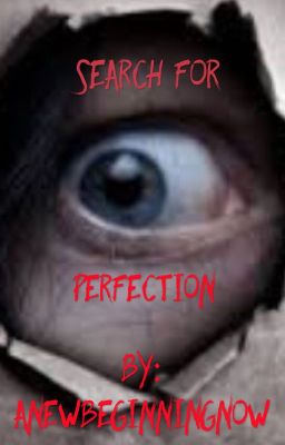 Search for Perfection 
