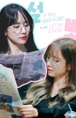 seolbbo [shortfic] if you need a cat, let me know