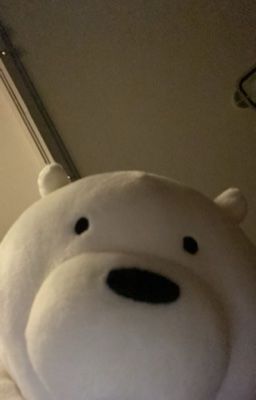 Seventeen | It's not like that !!!