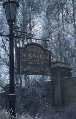 [ seventeen ] trường ca dưới hầm tối hogwarts