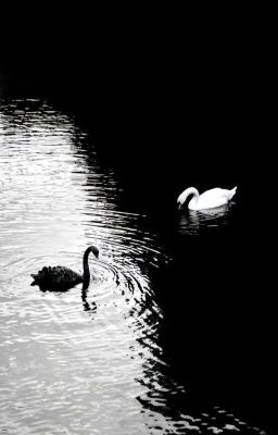 sexual desire ; Domicmasterd-TisRyn