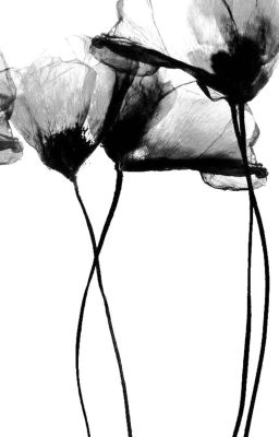 [SH]Xe Đạp Hỏng 