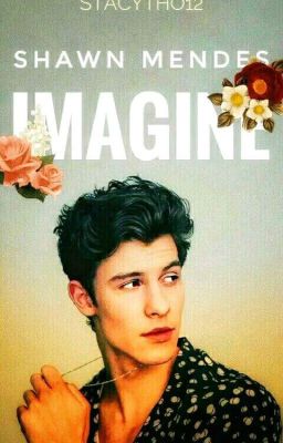 Shawn Mendes Imagine