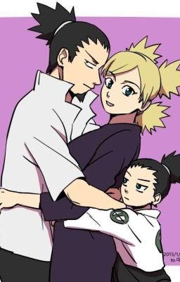【SHIKATEMA】YÊU EM LẦN NỮA