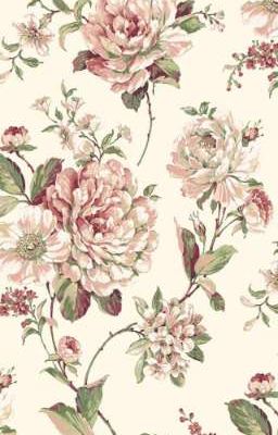 [SHK]; Gửi thương cho em. 