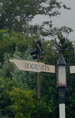 shk x hogwarts | entre nous