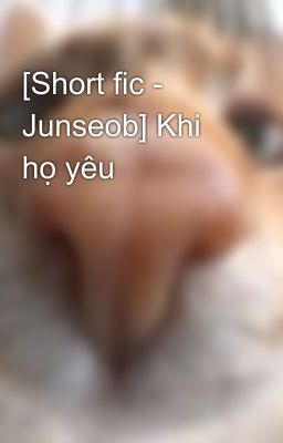 [Short fic - Junseob] Khi họ yêu