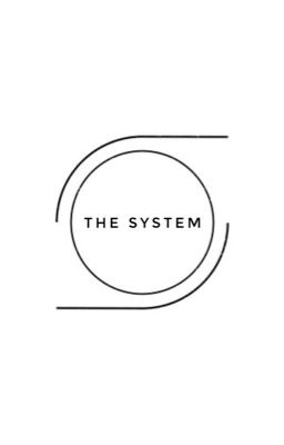 [SHORTFIC] THE SYSTEM