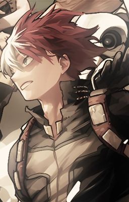 |Shoto Todoroki x Reader|