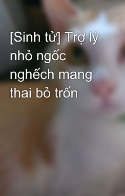 [Sinh tử] Trợ lý nhỏ ngốc nghếch mang thai bỏ trốn