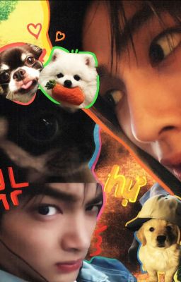 sk  |  puppyologist