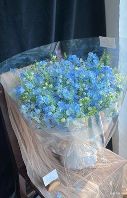 SkyNani | Lưng áo số 10