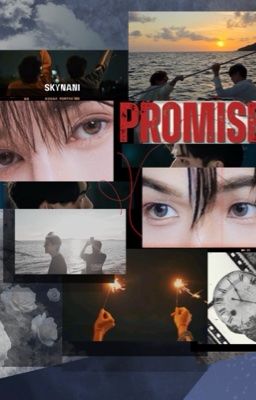 [SkyNani] Promise