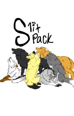 SlitPack