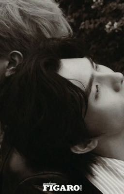 【SmartBoom】Nước Mắt Đã Cạn