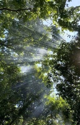 [Smeft/Peran] THỤY VŨ