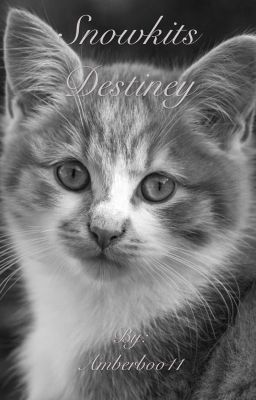 Snowkits Destiny