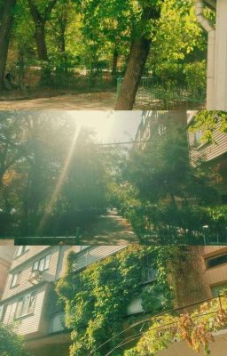 so easy to fall in luv 