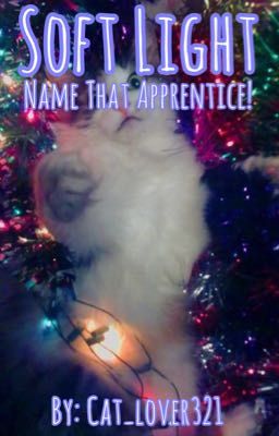 ☆ soft light ☆ name that apprentice! ☆