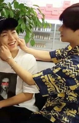 soft taste of soft serve (vietnamese translated fic)