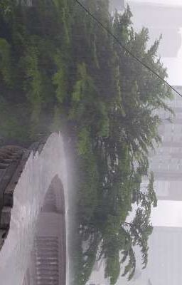 [Sơn Bình] Mùa đông lạnh