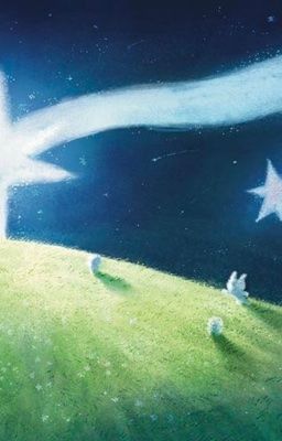 sơn bình | những đốm sáng