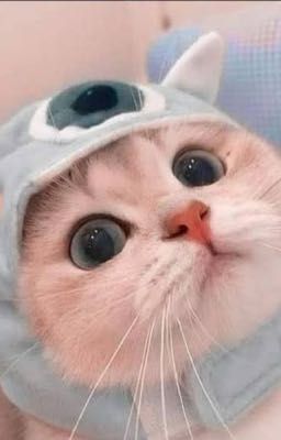 (Sơn.K x Negav) Tình yêu to to từ chiếc đồ chơi nho nhỏ