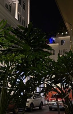 sơn khoa - hà nội