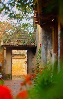 Sơn Khoa | Sookay - Năm tháng 