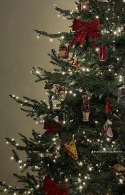 [ SơnBình ] 25122023 