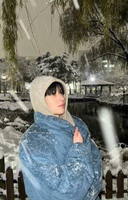 sondillan | sugar rush 