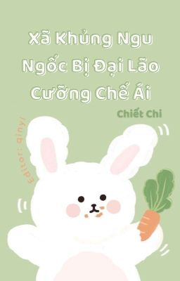 [Song/Caoh] Xã Khủng Ngu Ngốc Bị Đại Lão Cưỡng Chế Ái