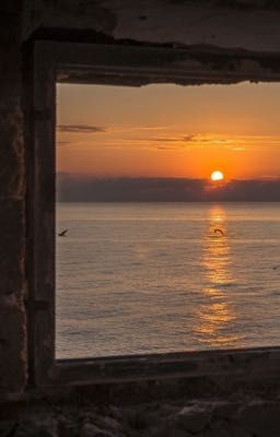 Sóng tình |DuongHieu|