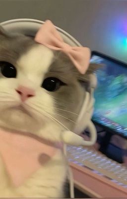 sonknegav. iu bạn mò