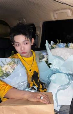 sonthinh. bedtime stories