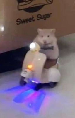 sonthinh. good boy aint fun