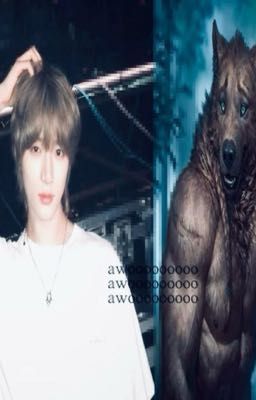 Soogyu | Chủ trọ