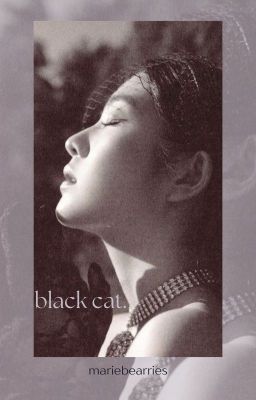 soojun ☆black cat