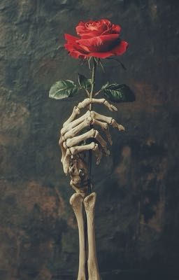 {Soojun} - Món quà đặc biệt