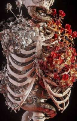 [Soukoku] Da bọc xương